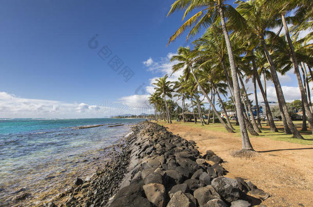 卡帕<strong>夏威夷</strong>沙滩上的<strong>椰子</strong>棕榈树，考艾