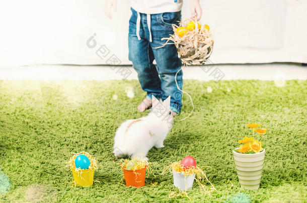 四月篮子盛开蓝色兔子