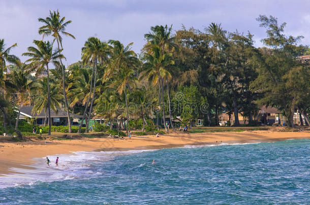 卡帕<strong>夏威夷</strong>沙滩上的<strong>椰子</strong>棕榈树，考艾