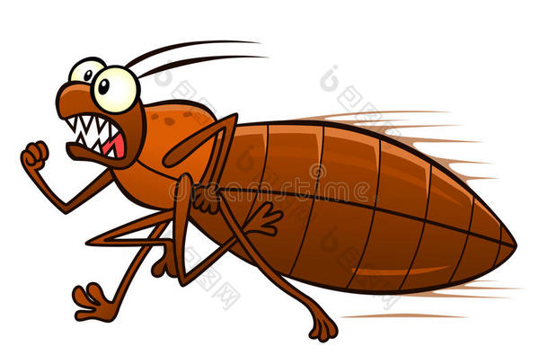 臭虫甲虫吸血缺陷卡通