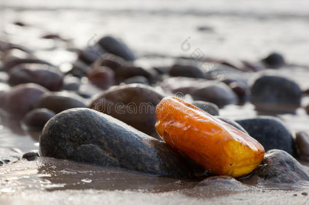 岩石海滩上的琥珀石。 珍贵的宝石，宝藏。