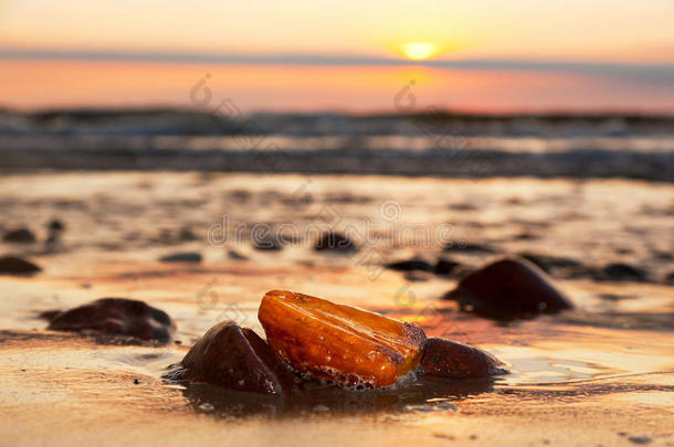 沙滩上的琥珀石。<strong>宝贝</strong>，<strong>宝贝</strong>。波罗的海