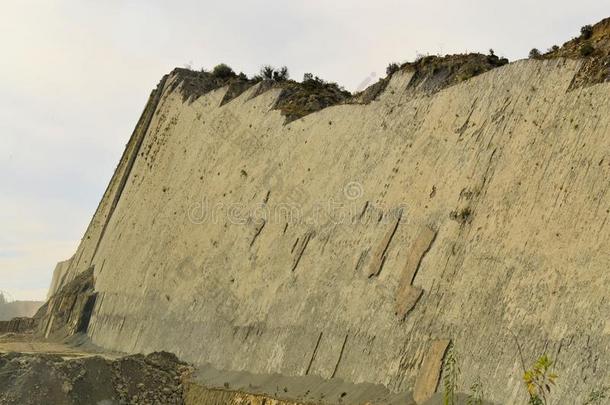 玻利维亚恐龙足迹化石足迹