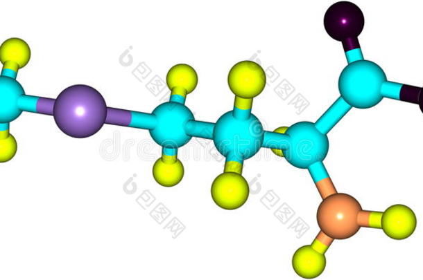 酸的氨基原子背景生物化学