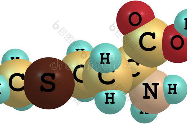 酸的氨基原子背景生物化学