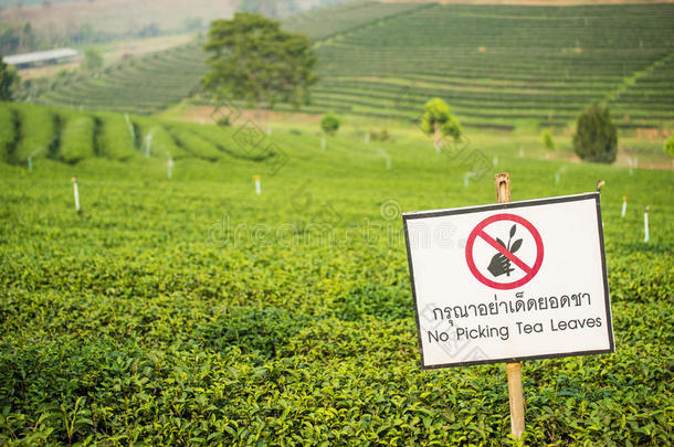 警告标志在周方茶园，清莱泰国