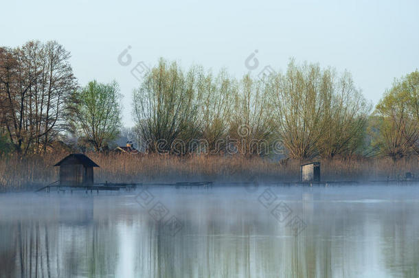 艺术芦苇平静的切尔维尔殖民地