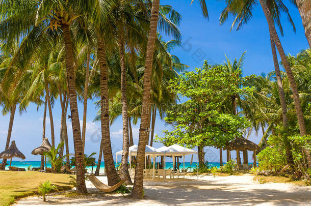 海滩有棕榈树和海滩床，暑假