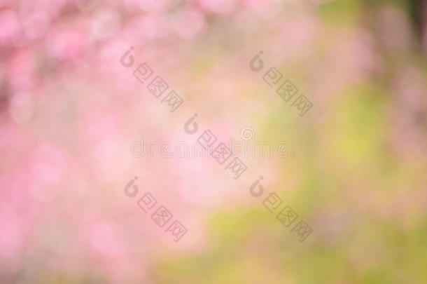 樱花模糊的粉红色抽象背景