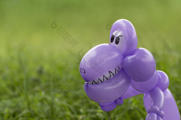 背部绿草中紫色气球动物恐龙的特写