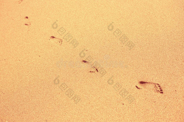 沙滩上沙滩上的脚印