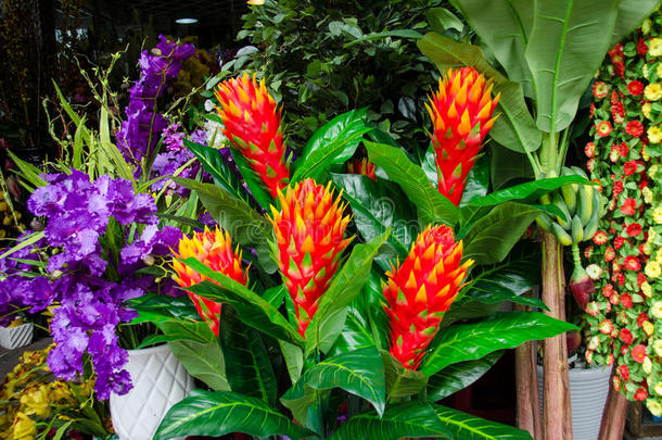 五颜六色的热带花卉在户外市场出售