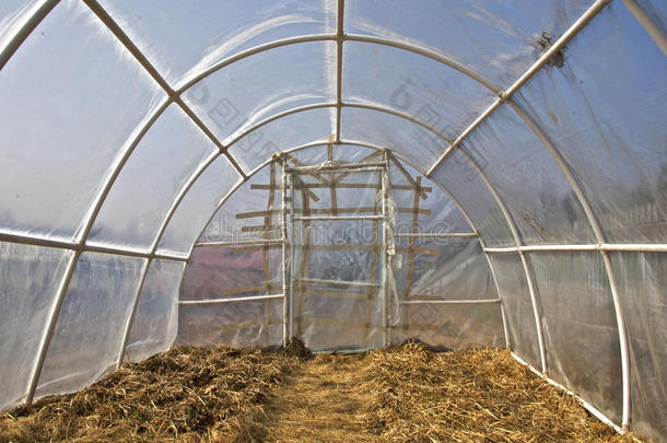 建筑学生物学的建设国家乡村