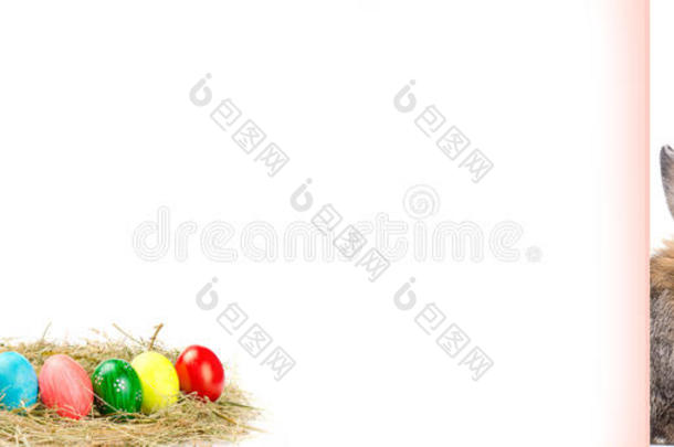 空白卡与复活节彩蛋和兔子