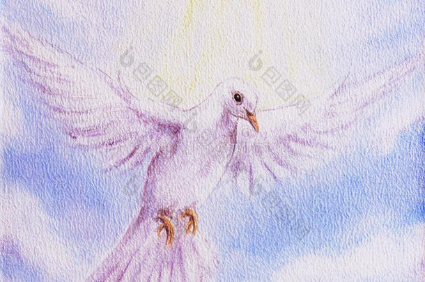 鸽子肖像，白色光芒四射的神圣飞行和平象征，五彩缤纷