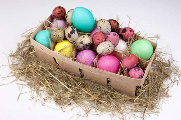彩色复活节彩蛋在包装盒中隔离
