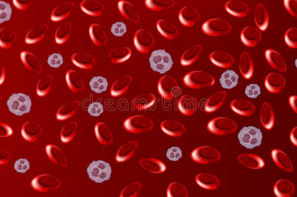 人血细胞