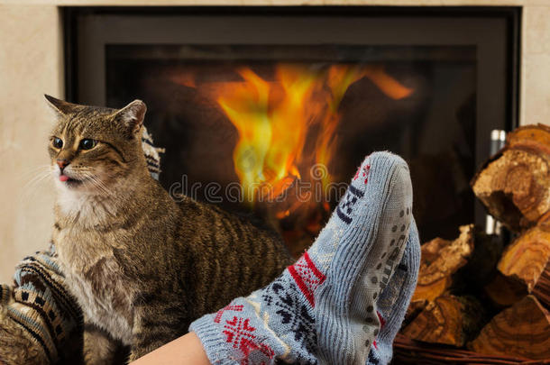 壁炉前的猫和脚