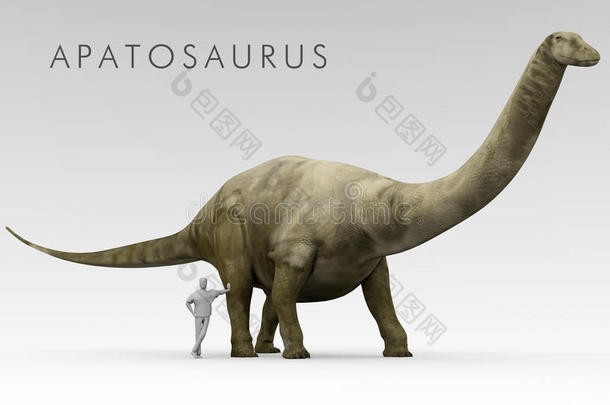 恐龙恐龙与人类大小的比较