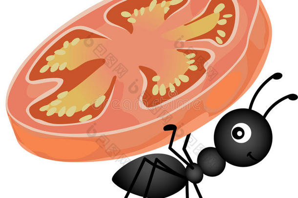 蚂蚁拿着一<strong>片</strong>西红柿