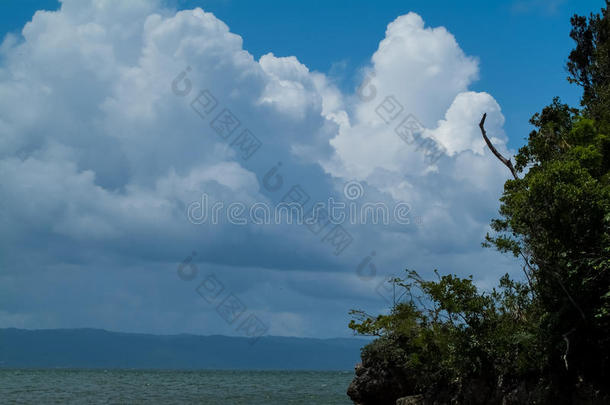 美丽的海景，天空中的白云，前景中的树木很少