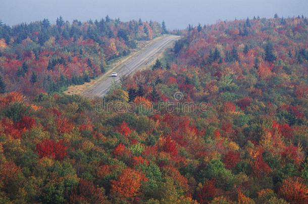 秋季公路沿风景公路美国150号公路，WV