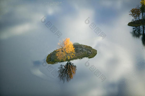 缅因州桑福德附近池塘上倒影的秋树鸟瞰图