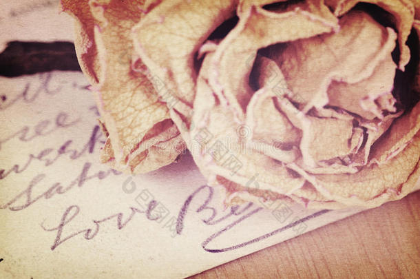 关闭干玫瑰和爱字写在卡片上。 柔和的光线。