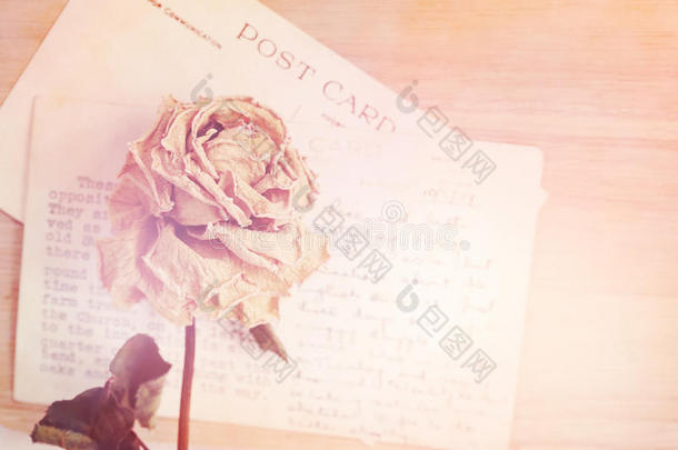 干玫瑰和旧明信片。 柔和的光线和耀斑效果，复古