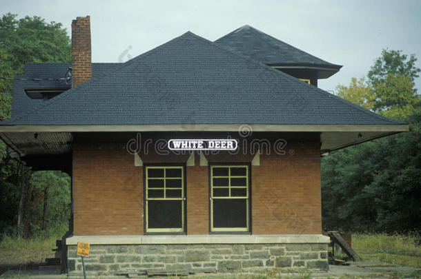 宾夕法尼亚州白鹿的火车站