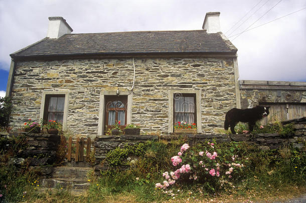 住所建筑学牧羊犬颜色软木塞