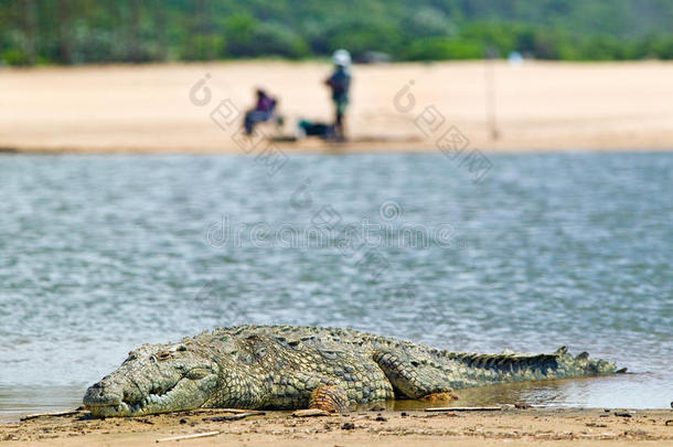 鳄鱼在阳光下靠近两个渔民在大圣路西亚湿地公园世界遗产遗址，圣路西亚，南非