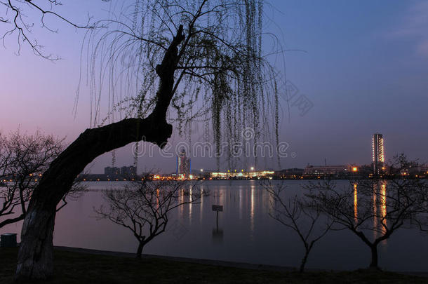 美丽的<strong>南京</strong>夜景