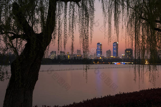 美丽的南京夜景