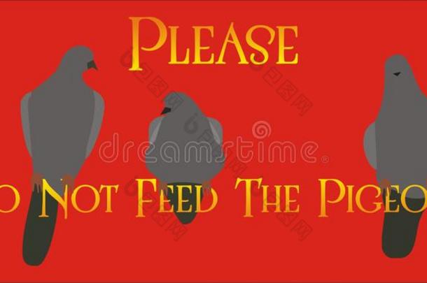 请不要喂鸽子