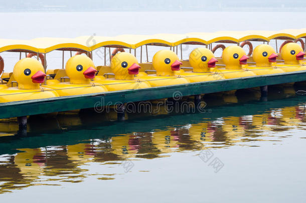 一排排的鸭子踏板船