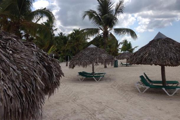 多米尼加共和国棕榈三绿色酒店之旅酒店植被植物区系唐璜博卡奇卡海沙