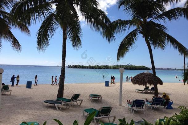 多米尼加共和国棕榈三绿色酒店之旅酒店植被植物区系唐璜博卡奇卡天空蓝色海沙人