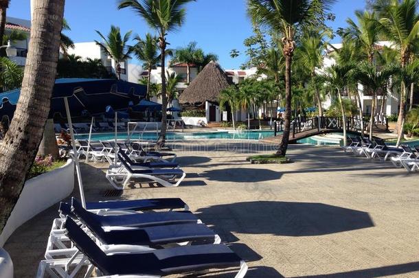 多米尼加共和国棕榈三绿色酒店旅行酒店植被植物区系