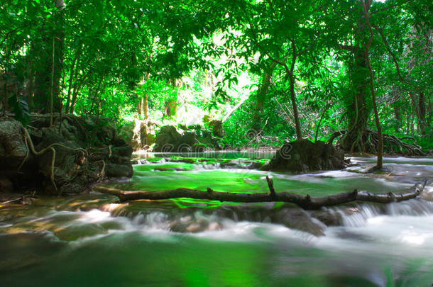 泰国安达曼热带雨林瀑布户外摄影。 树木，普吉岛，