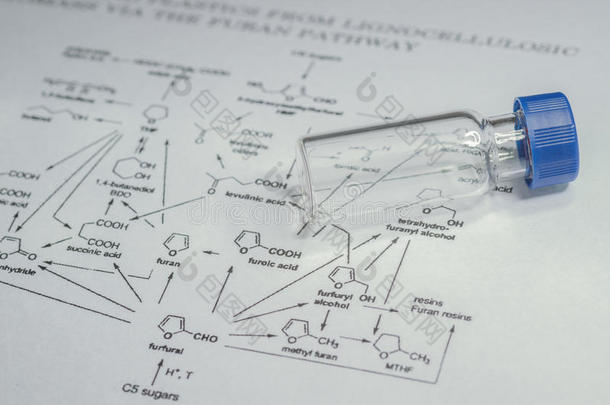 分析汽车生物技术化学的化学