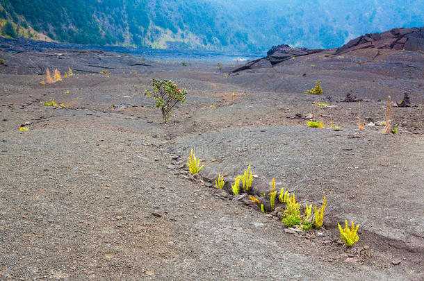 火山口底板