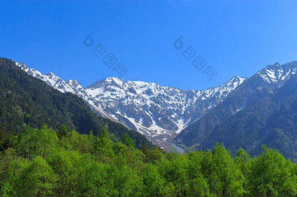 阿尔卑斯山亚洲美丽的蓝色中部
