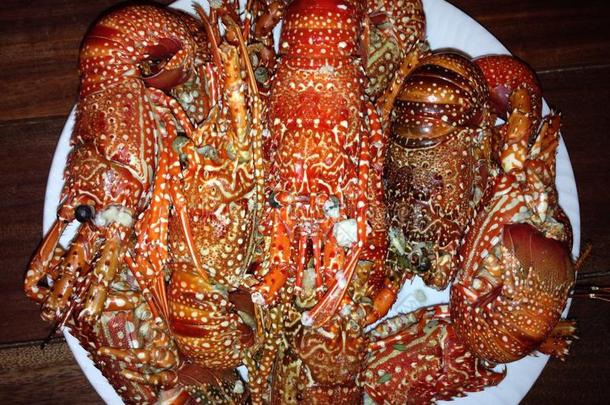 煮小龙虾龙虾红色海鲜