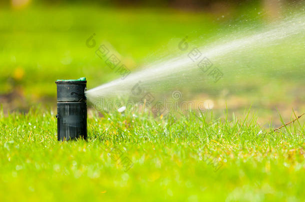 园艺。草坪洒水车在草地上喷水。