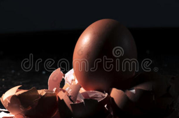 一堆鸡蛋整壳碎壳