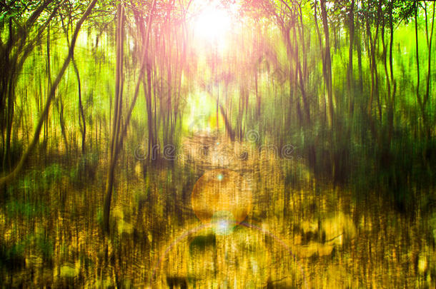 模糊的森林抽象背景照片具有超现实的运动模糊效果