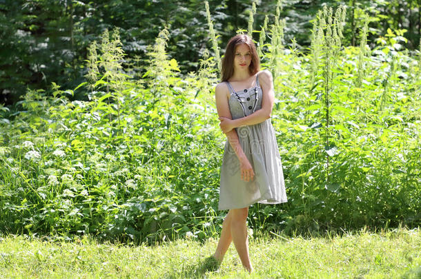 穿着连衣裙的漂亮女孩站在树林里，站在高高的草地上