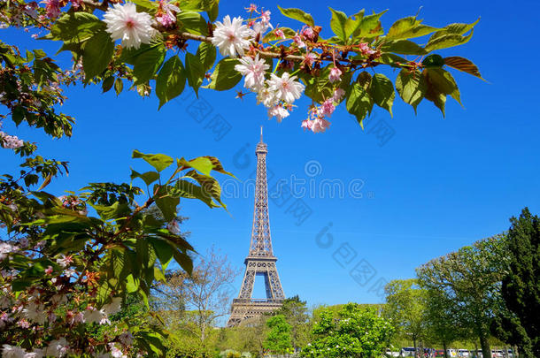 法国巴黎<strong>的</strong>埃菲尔铁塔和<strong>春天的</strong>树