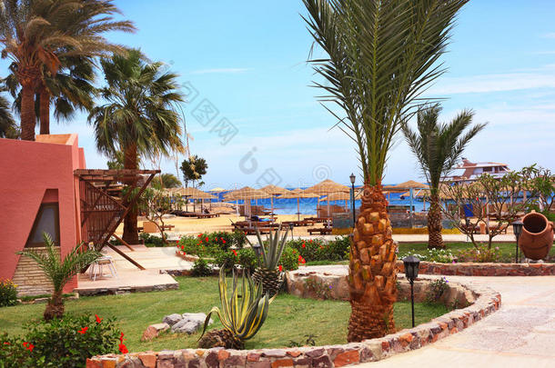 海滩度假酒店<strong>外景</strong>，棕榈树和大海